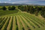Visit Website of AMAZING NEW ZEALAND - The Itinerary Specialist Image of AMAZING NEW ZEALAND - The Itinerary Specialist